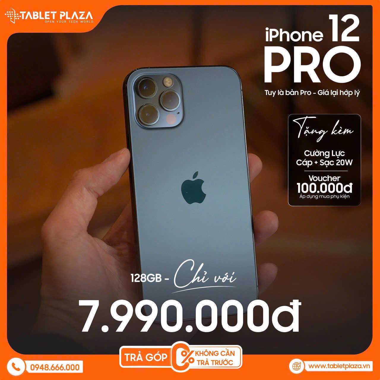 12 PRO.1.jpg