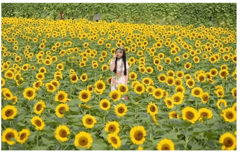 1679235454728.png