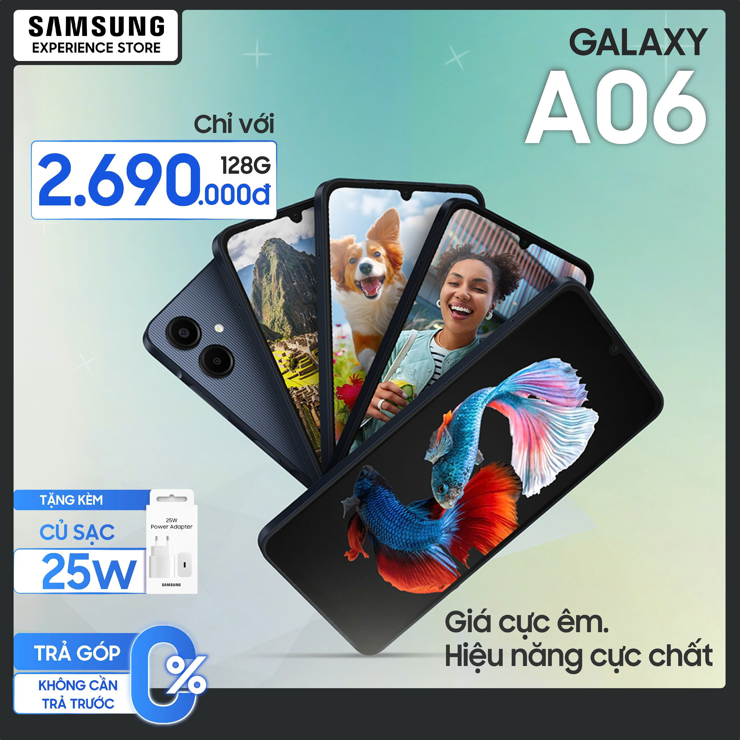 a06.jpg