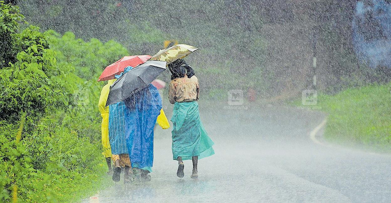 wayanad-rain.jpg